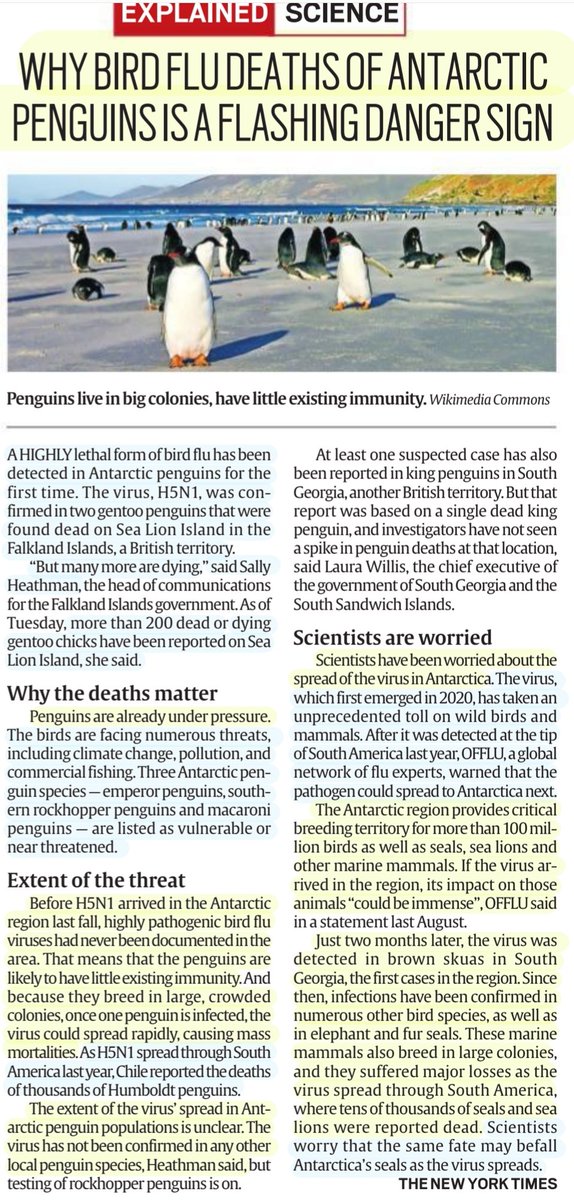 #BirdFlu

'Why Bird Flu deaths of Antartica Penguins is a flashing Danger sign'
: Explained

#Antartica #penguin #Virus #H5N1 #GentooPenguins #Immunity ❌️ 
#ClimateChange #Pollution #CommercialFishing 
#Ecology
#science 

#UPSC 

Source: IE