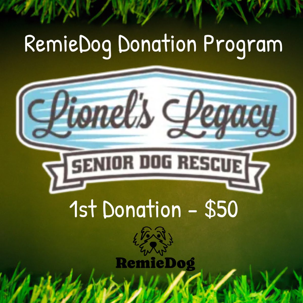 RemieDog (@remiedognyc) on Twitter photo The RemieDog donation program has launched and we're thrilled to have <a href="/LionelsLegacy/">Lionel's Legacy Senior Dog Rescue</a> be our first recipient! Please give their page a look and support if you're up for it! #donations #remiedog #companiesgivingback The RemieDog donation program has launched and we're thrilled to have <a href="/LionelsLegacy/">Lionel's Legacy Senior Dog Rescue</a> be our first recipient! Please give their page a look and support if you're up for it! #donations #remiedog #companiesgivingback