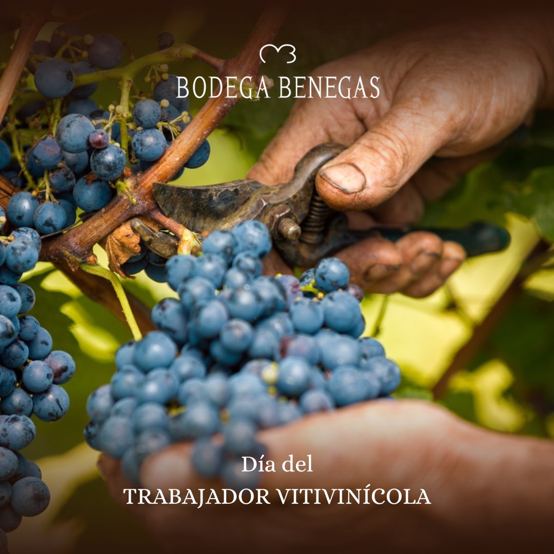 Día del Trabajador Vitivinícola🍇

Sin ustedes, el legado y la historia de nuestros vinos no podrían haber permanecido intactos.

¡Gracias y Salud!🍷

#BenegasWines #Wine #BodegaBenegas #DiaDelTrabajadorVitivinicola
