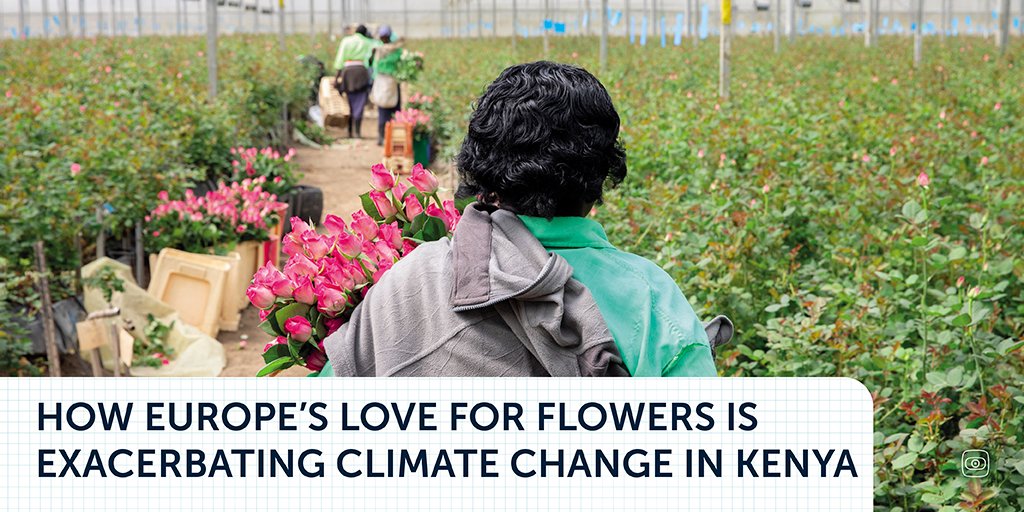 Journalismfund Europe tweet media