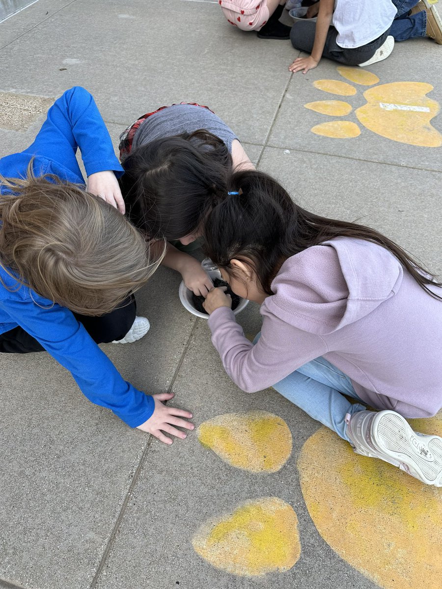 Meredith Griffin (@meregriff81) on Twitter photo We took our learning outside yesterday. My students loved observing properties of soil and the perfect weather made it even more fun. <a href="/SonntagElem/">Sonntag Elementary</a> We took our learning outside yesterday. My students loved observing properties of soil and the perfect weather made it even more fun. <a href="/SonntagElem/">Sonntag Elementary</a>