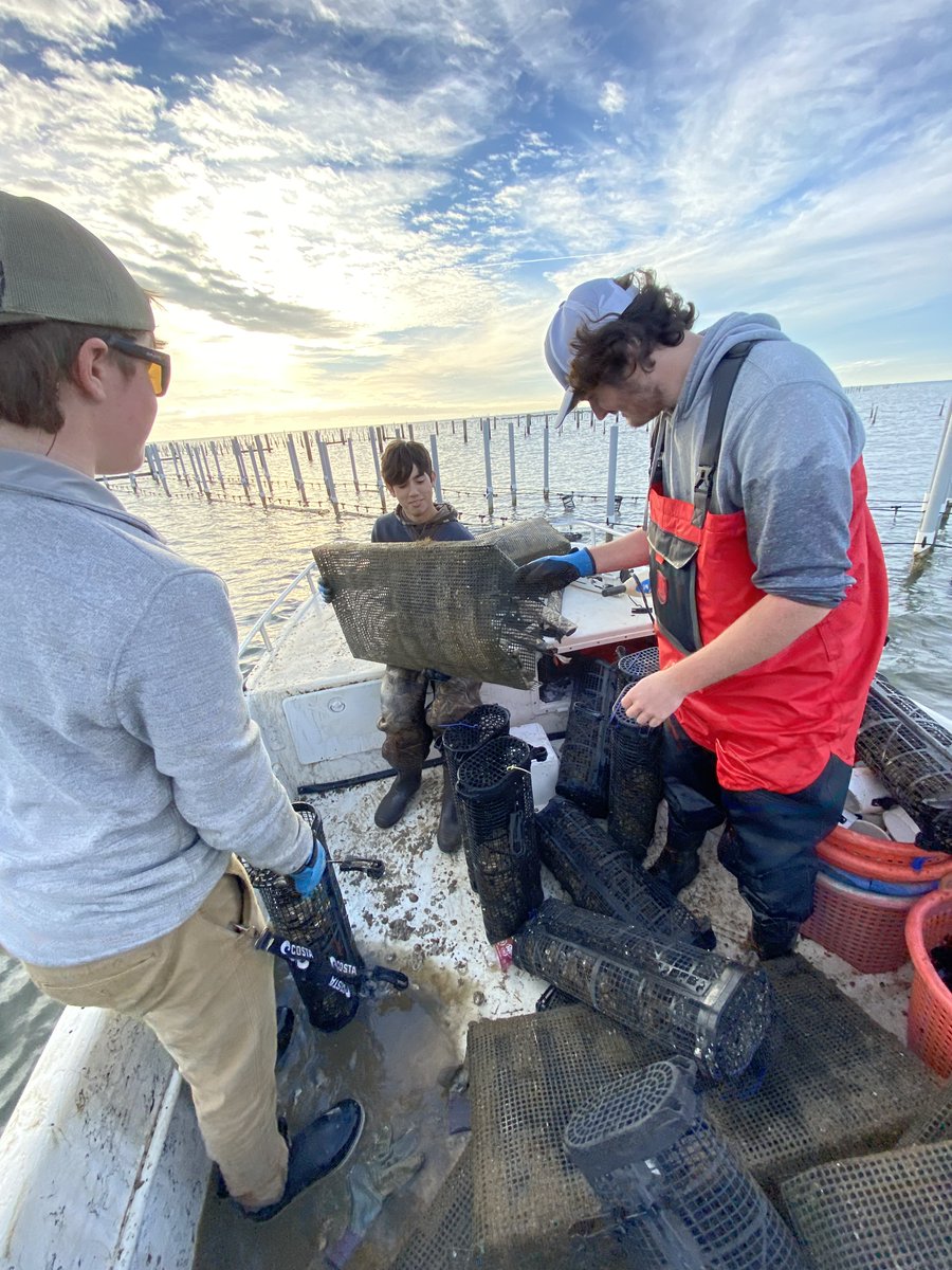 Explore aquaculture at Bryant High School! Students dive into hands-on research, cultivating crawfish, koi, and oysters on campus. This innovative program prepares them for careers in marine and environmental sciences. <a href="/MCPSSAcademies/">Academies of MCPSS</a> <a href="/dsprinkmcpss/">David Sprinkle</a> <a href="/MobilePublicSch/">MobilePublicSchools</a> <a href="/Careertechmob/">Mobile Career Tech</a>