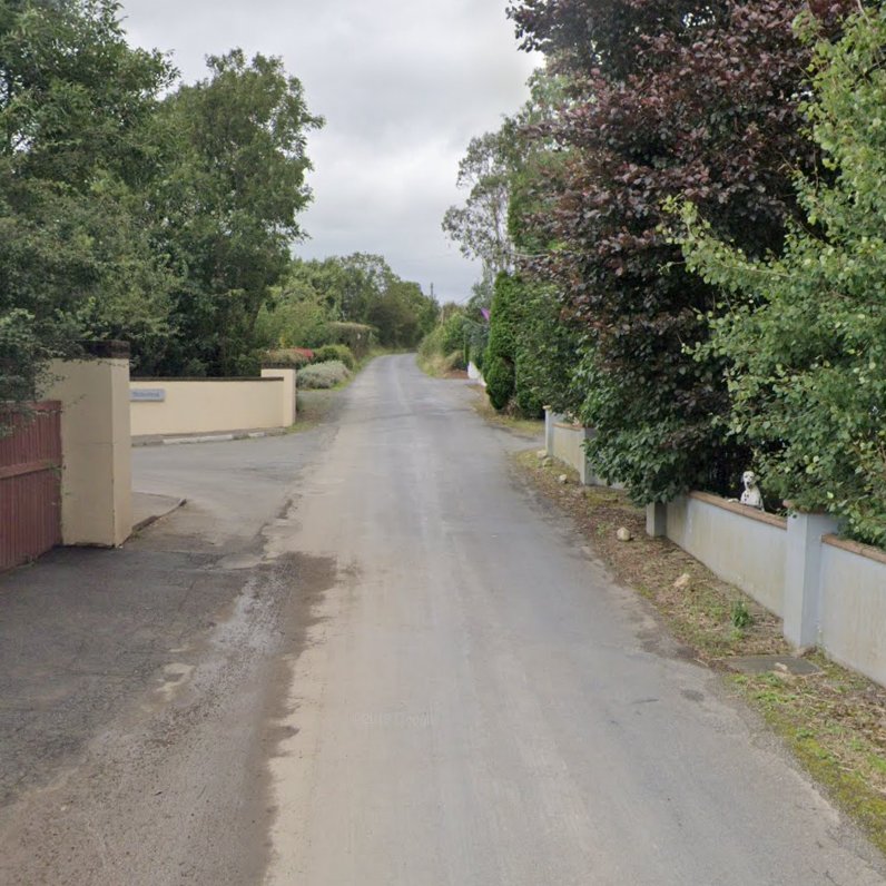 Animals of Street View (Ireland) tweet media