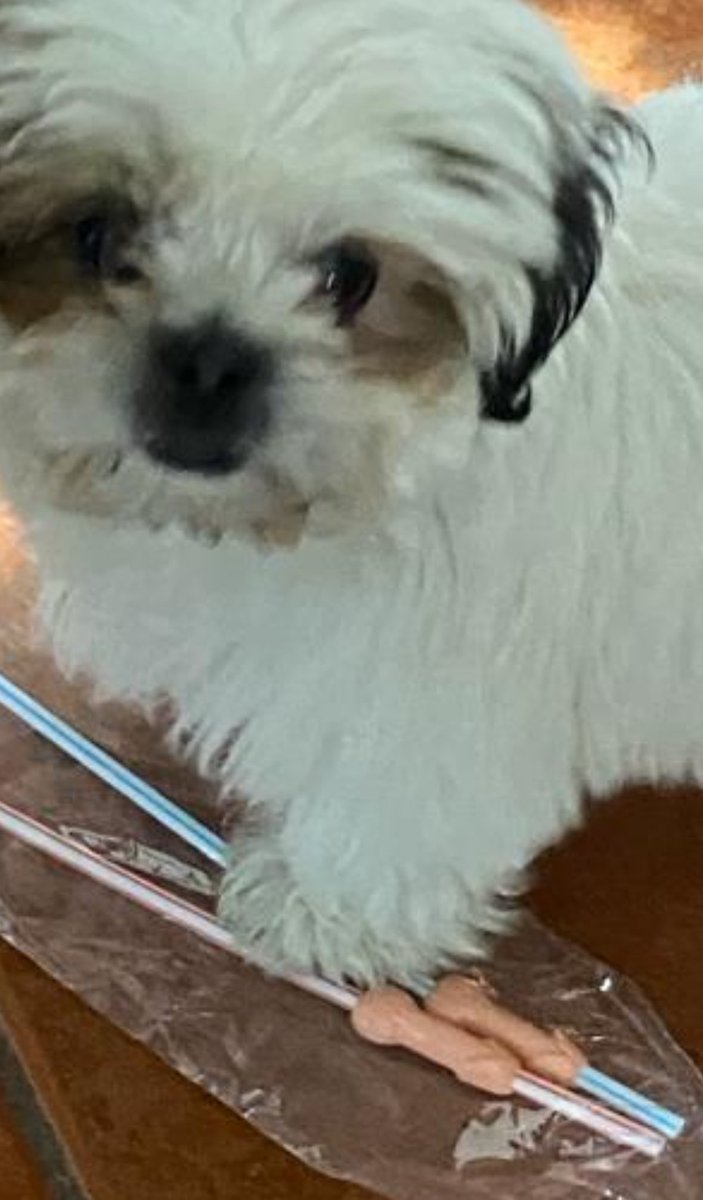 Quiero funar al Charly públicamente porque me exhibió con mi mamá😭