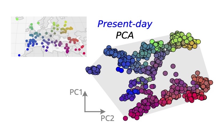antmarge's tweet photo. Today, the structure is also very distinct. The closer people live to each other, the more similar their ancestries. We use PCA to visually show how genetic distance corresponds to geographic distance. https://t.co/uYSFliDNID