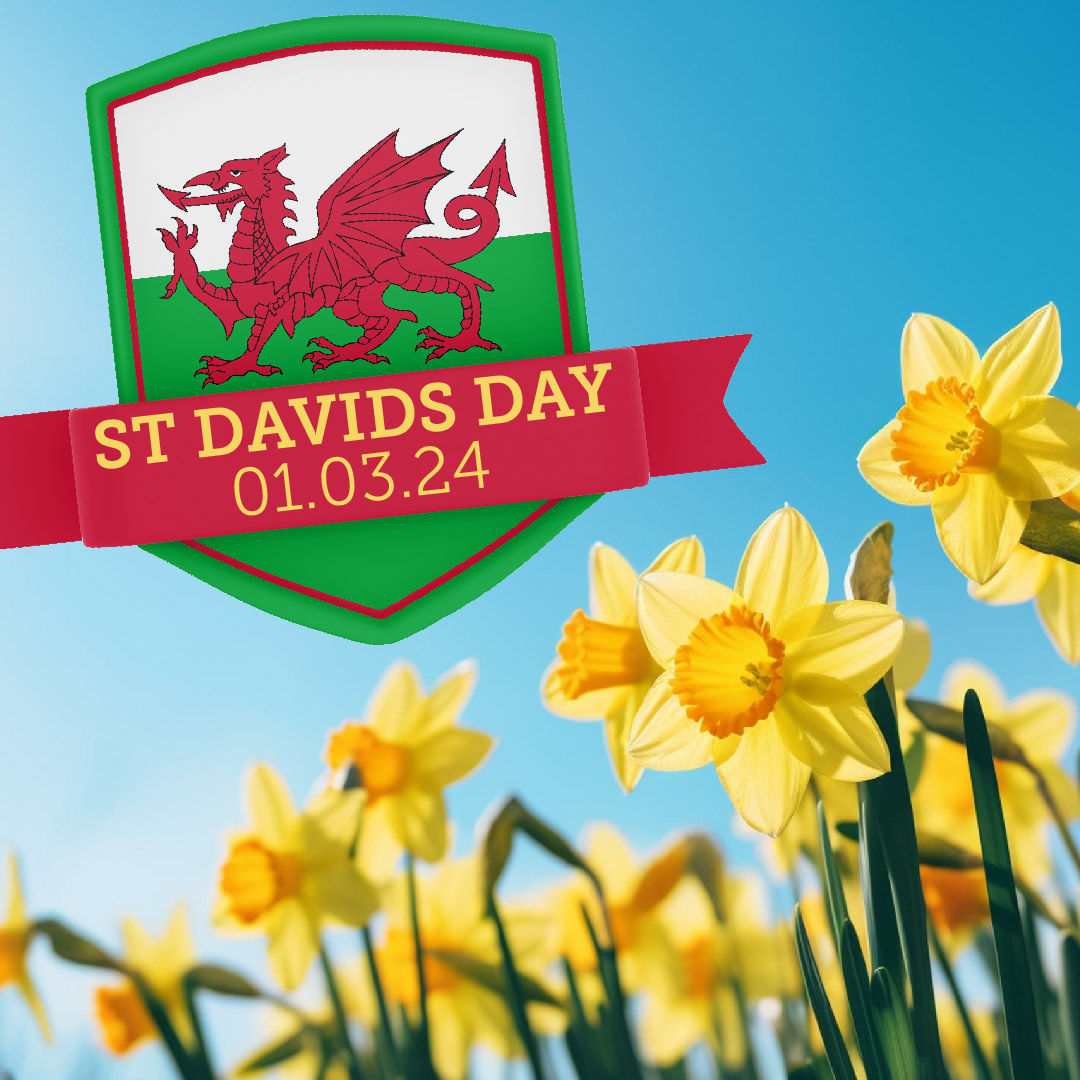 Ready to stand out this St David's Day? 
Immerse yourself in Welsh culture with our flags and bunting! Whether you're parading or partying, we've got it. Missing that special something? Let's create it together! 

hampshireflag.co.uk/st-davids-day/

 #StDavidsDay #CelebrateWales