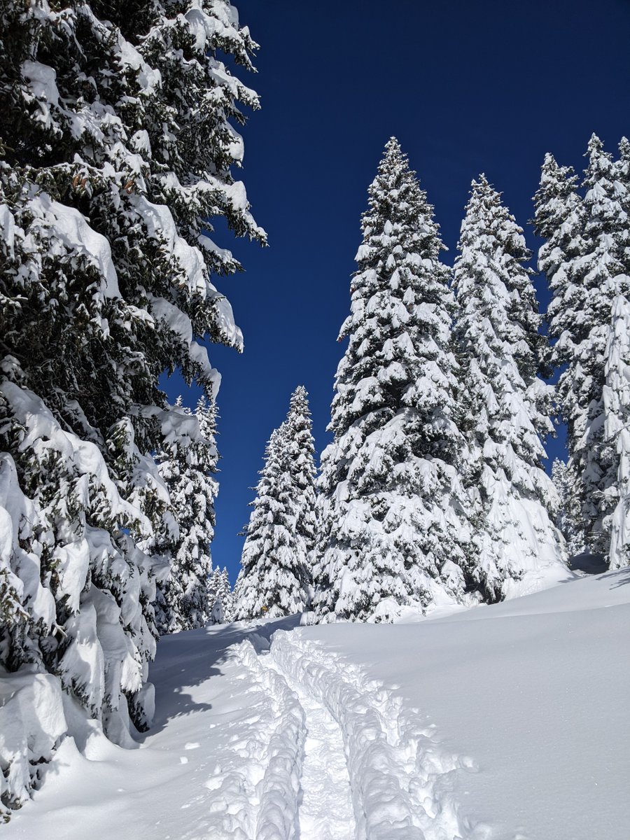 WorldBioForum's tweet photo. 🌍🌿❄️Acceptance notifications for the @WorldBioForum in ☀️Davos are out and we are working on the detailed schedule so that you know when to present your oral or poster. Now it's time to register on https://t.co/fsWhemrubN - presenter registration deadline is on 15 March!🗓️ https://t.co/mM5HCcqEQB