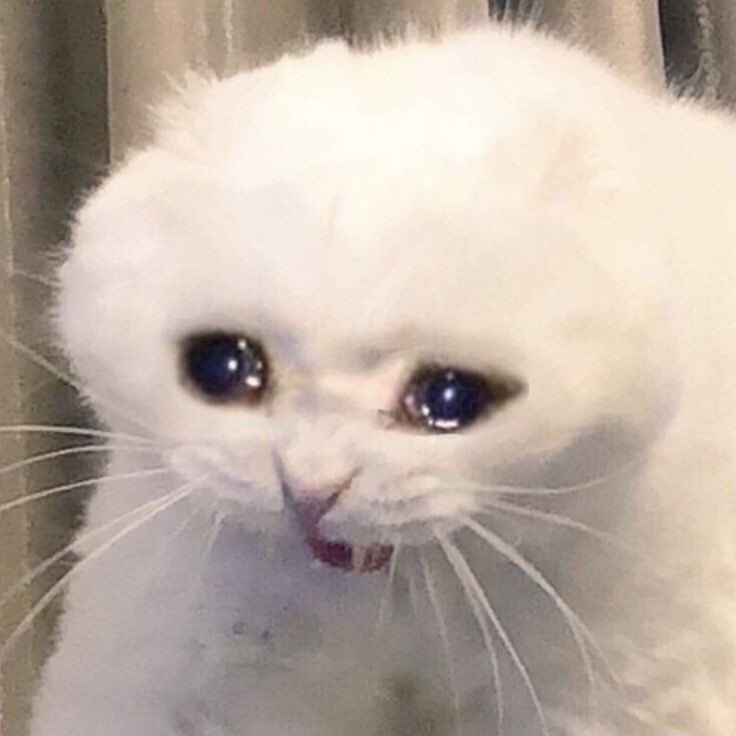 raveerrukk's tweet photo. #TaniaFaye #2ks #Keistl #Takuri nation right now after watching the preview for the last episode tomorrow: https://t.co/2l7pgWMJ4K