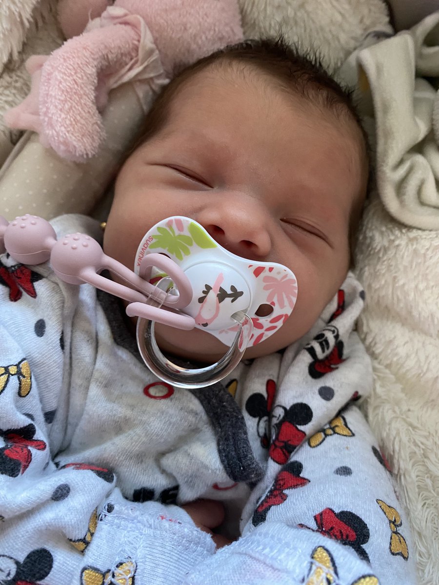 Domivakero tweet media