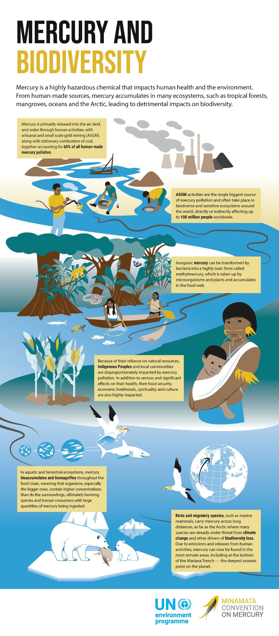 Mercury Effects On Humans Frontiers | Toxic Mechanisms Of Five Heavy
