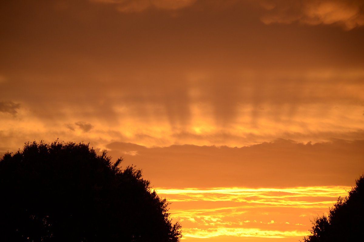 GloberZune tweet media