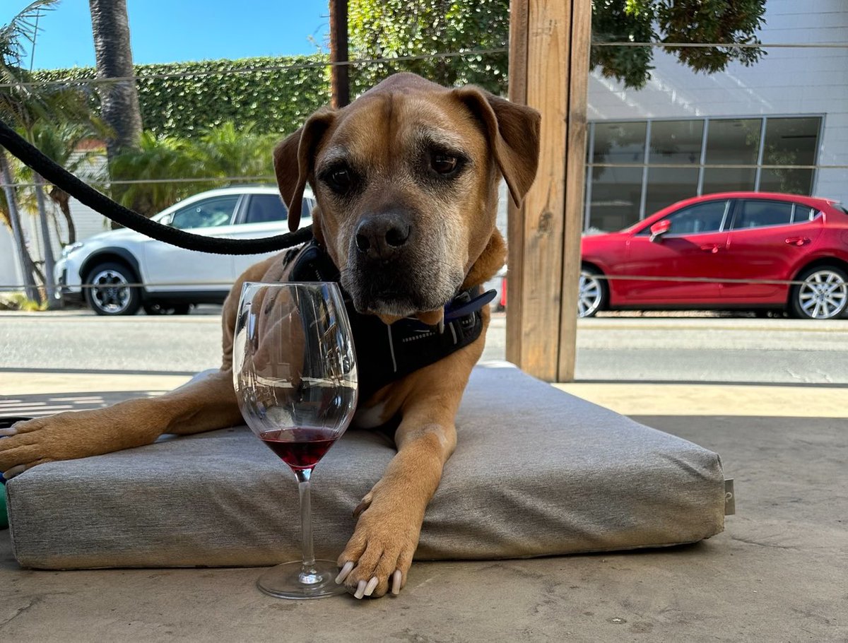 Taseen Haque tweet media