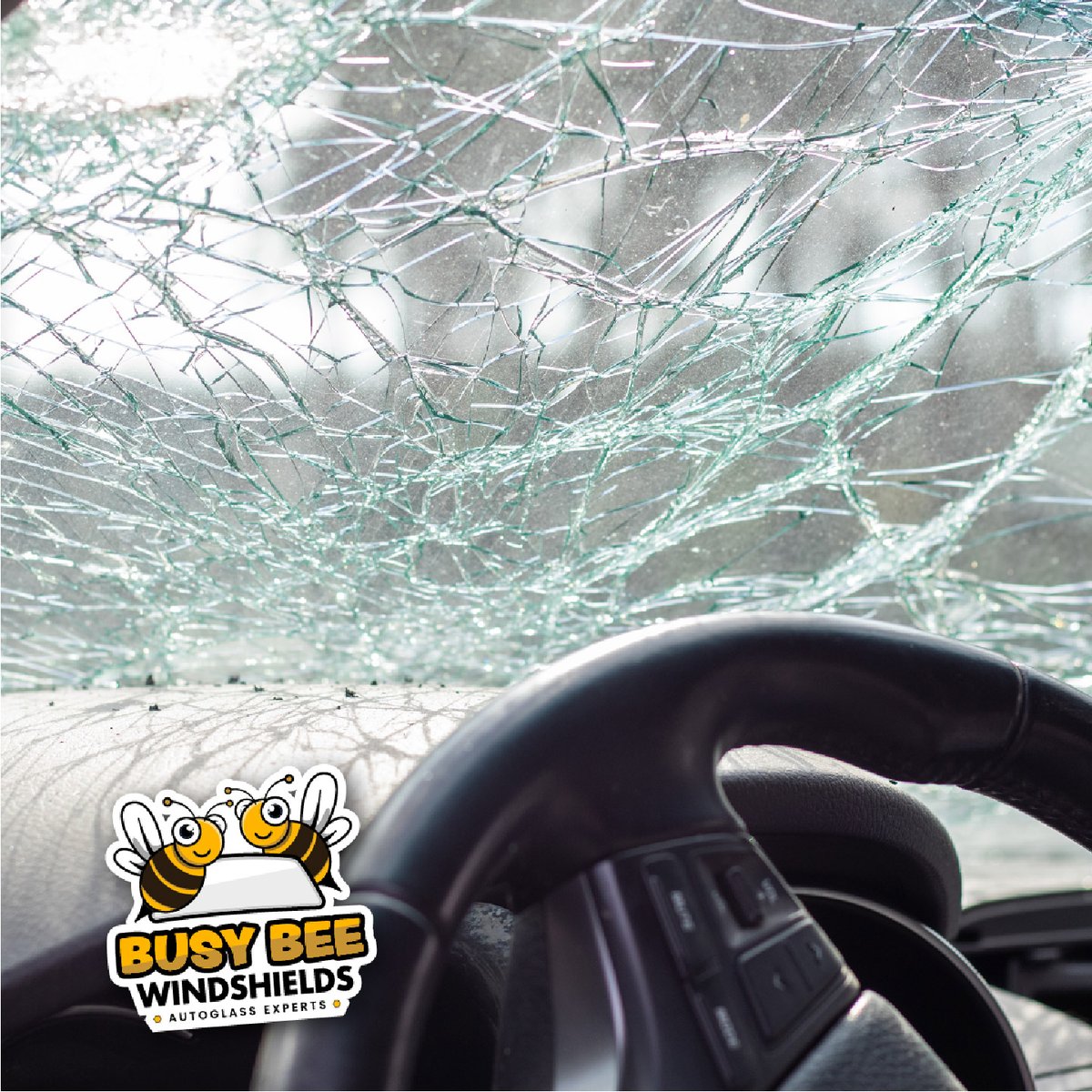 BWindshields's tweet photo. Busy Bee Auto Glass will come to YOU for hassle-free windshield replacement. Wherever you are, we've got your back! Schedule your on-the-go service now for a seamless experience. #WindshieldReplacement
#ChipandCrackGotYourBack #MobileService https://t.co/dpOhViGZht