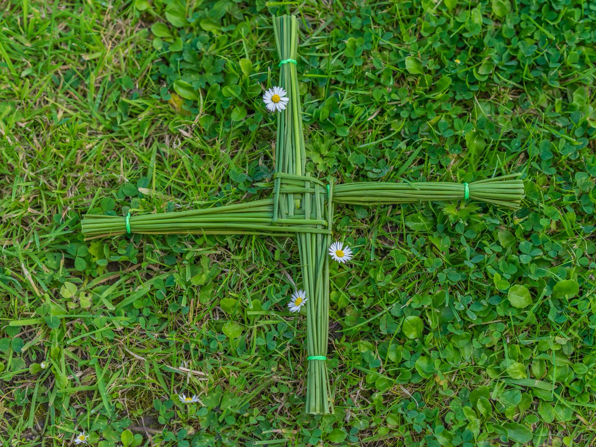 Happy St. Brigids Day, also called Imbolc.

Today marks the traditional beginning of Spring.