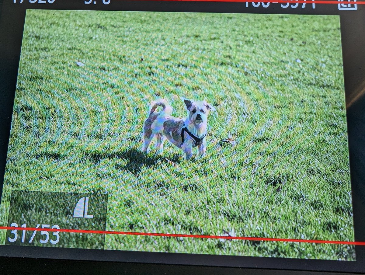 Love_SE4's tweet image. Mac books at #FixMyDevice which is really annoying as I got some great photos of Crystal Palace today. Hoping it&apos;s fixed tomorrow ☹️📸