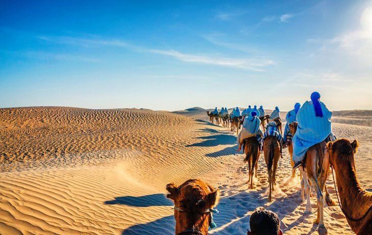 DjerbaBeachHtl's tweet photo. Don't miss out on this incredible opportunity to plan your dream excursion at a special price. Spread the love and tag your travel buddy below!
🔗 Book Now: https://t.co/sWuu8g9Kys

#Sentido #Djerbabeach #ValentinesDay  #AdventureAwaits #Discounts #TravelTogether #tunisia https://t.co/9WAG2Volih