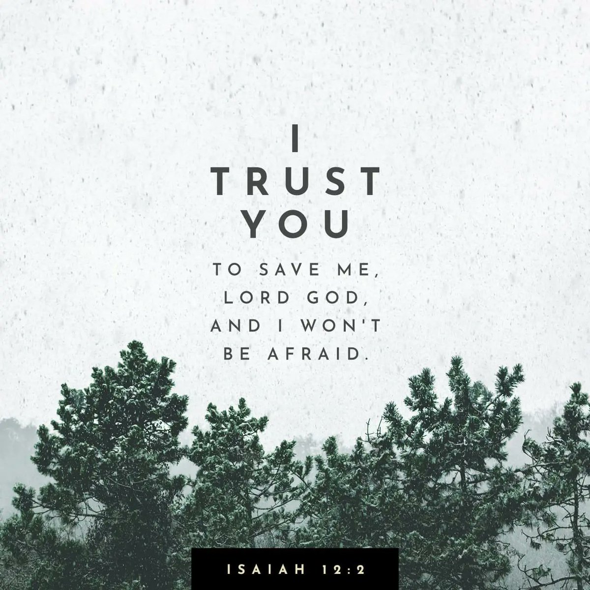 Isaiah 12:2 NLT
See, God has come to save me. I will trust in him and not be afraid. The LORD GOD is my strength and my song; he has given me victory. #DailyDevo #DailyVerse Have a great day wherever you are in this great big world 💖