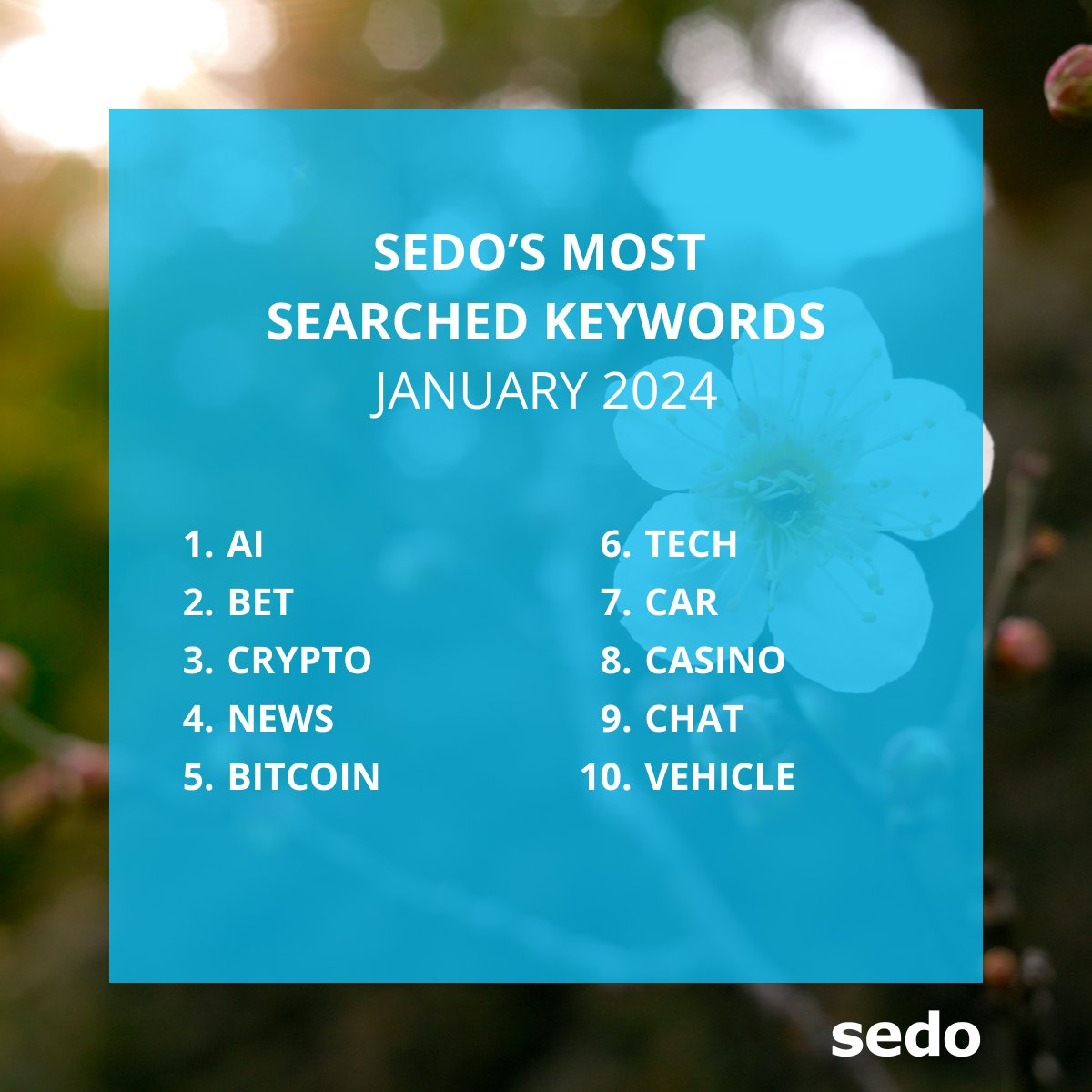 Besides constant #keywords such as #ai, #bitcoin or #crypto, two new words  have crept in - car and vehicle. The #automotive and vehicle industry is  undergoing a real upheaval at a time