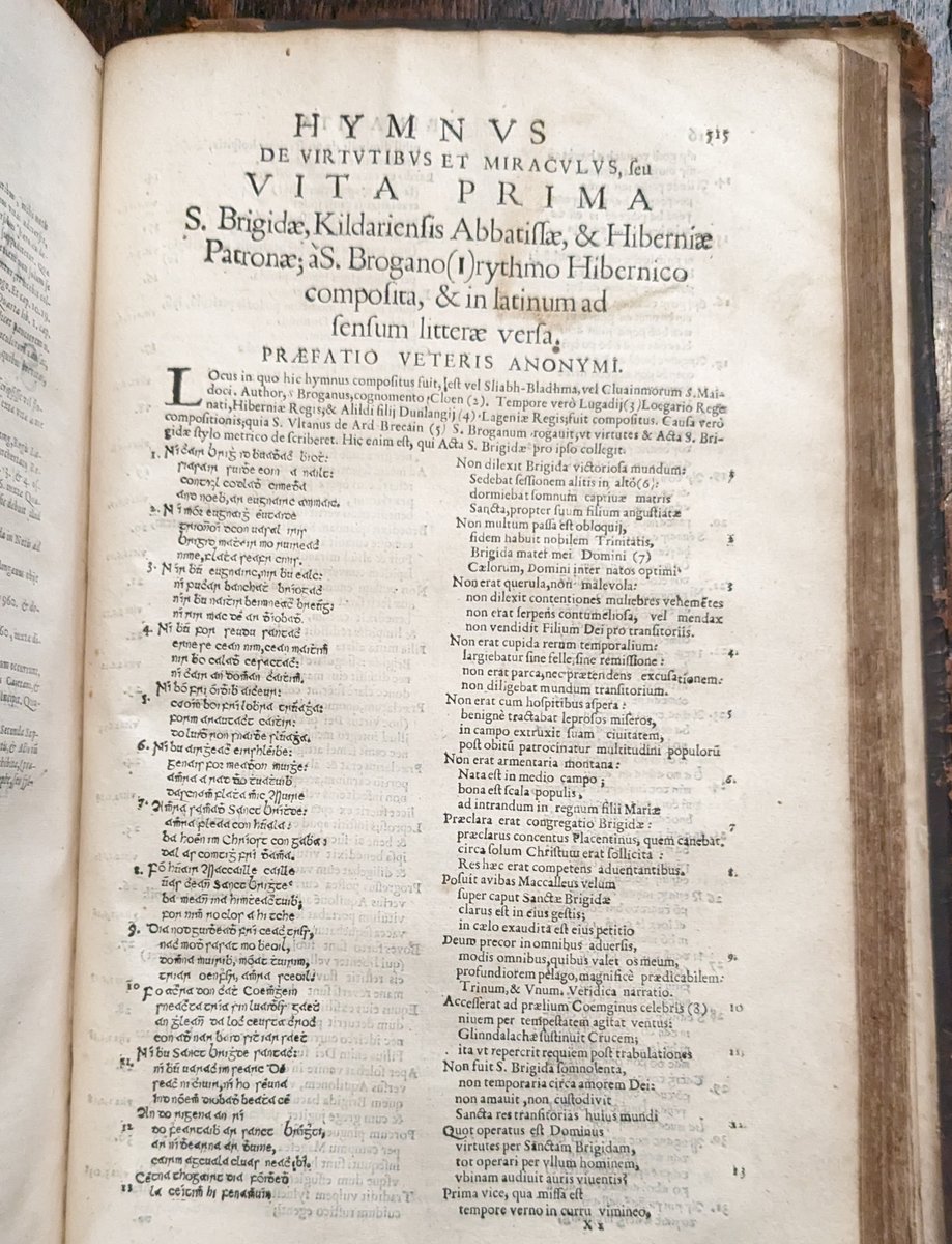 In praise of St Brigid #LaFheileBride #StBrigidsDay