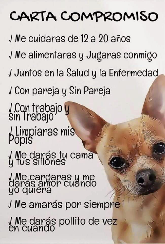 Alfredo Marquez T. tweet media
