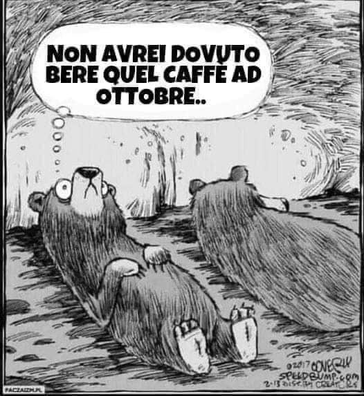 Matteobluetooth's tweet photo. C'è letargo e... letargo 🤣🤣🤣
#letargo #caffé https://t.co/SJjwBtgWHe