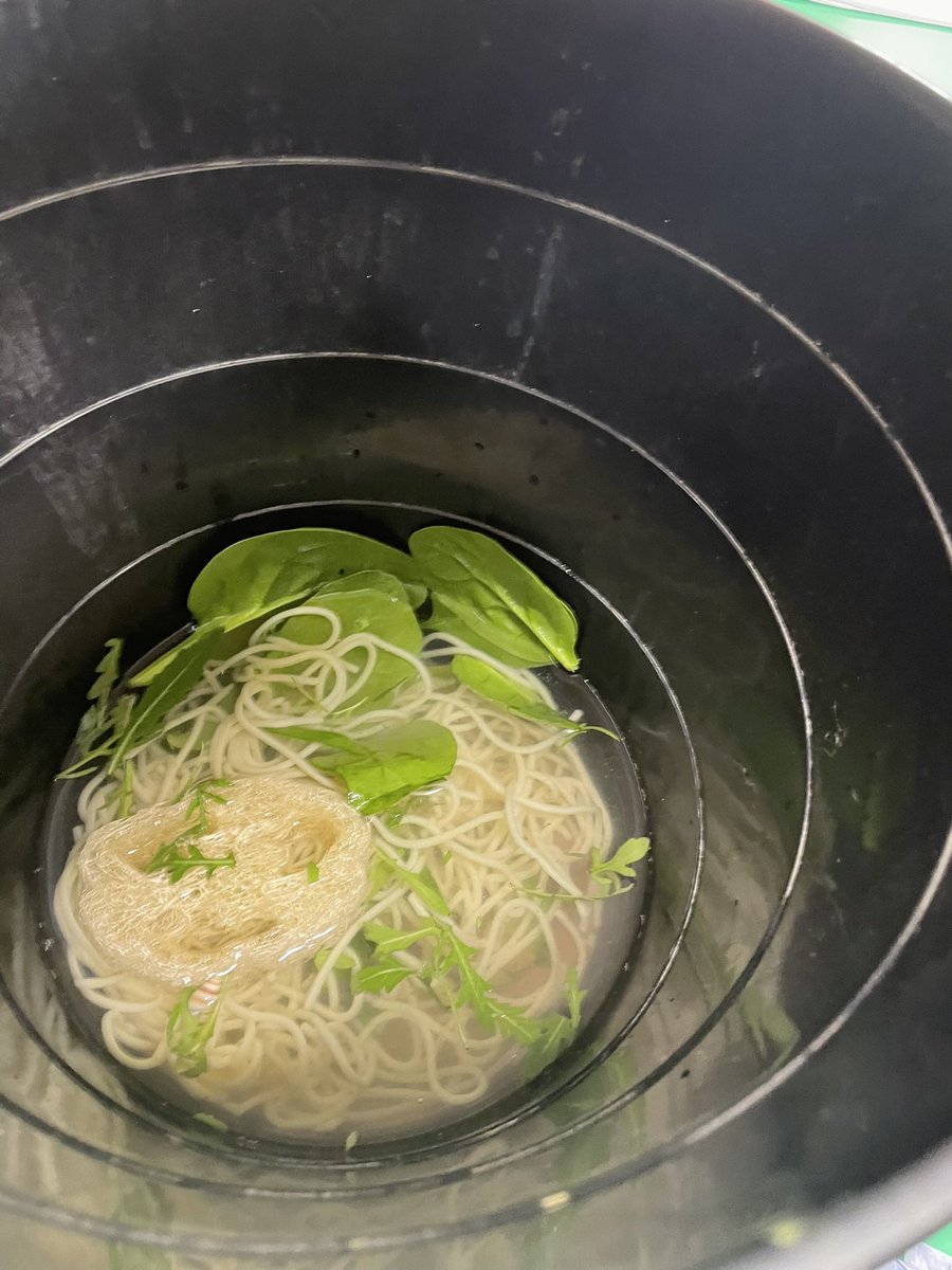 We loved exploring an underwater world to hook us into our new text ‘The Hidden Forest’ in English. Lots of interesting textures under the water 🐠🌊