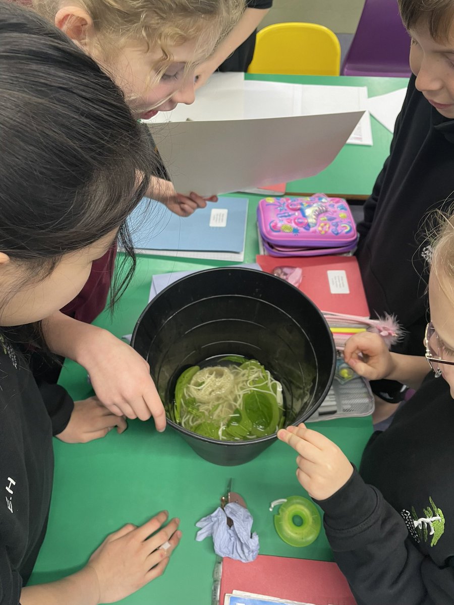 Miss Jackson tweet media