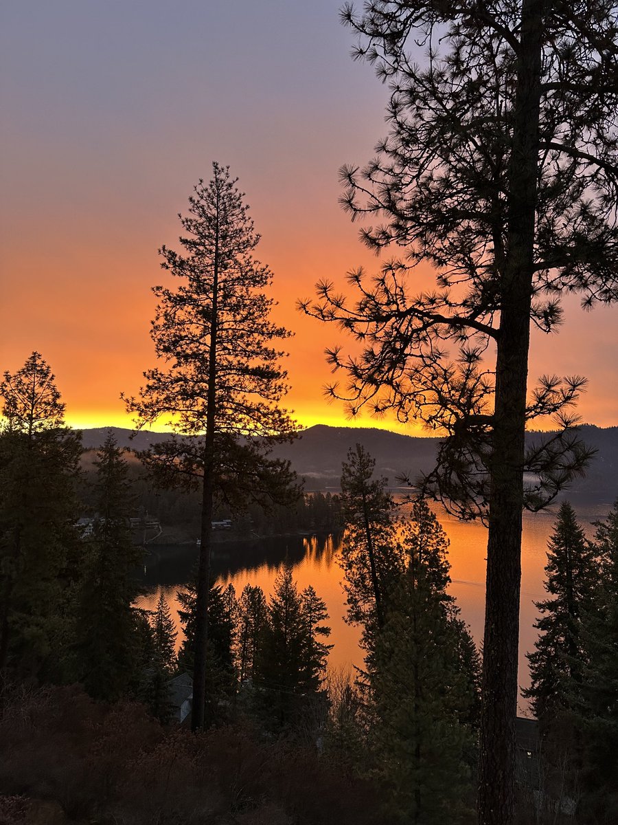 24cammo's tweet image. 