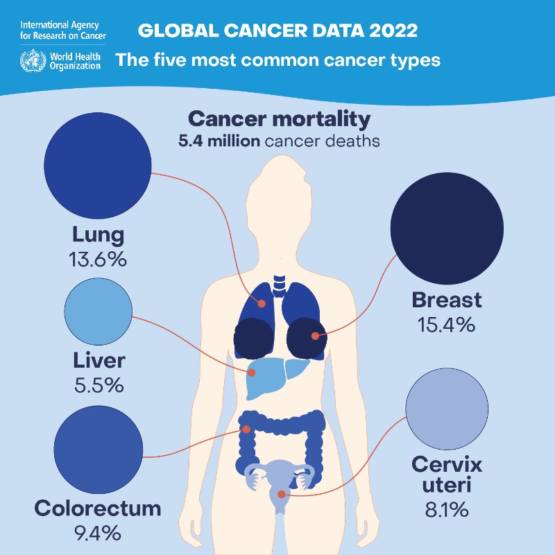 WHO's tweet photo. Ahead of #WorldCancerDay on Sunday, here are the latest global cancer burden stats (2022)
🌍 Estimated 9.7M deaths
💔 1 in 9 men &amp; 1 in 12 women lose their lives to the disease
👤 1 in 5 people face cancer in their lifetime

https://t.co/gOW4eAZ1c1

#CloseTheCareGap