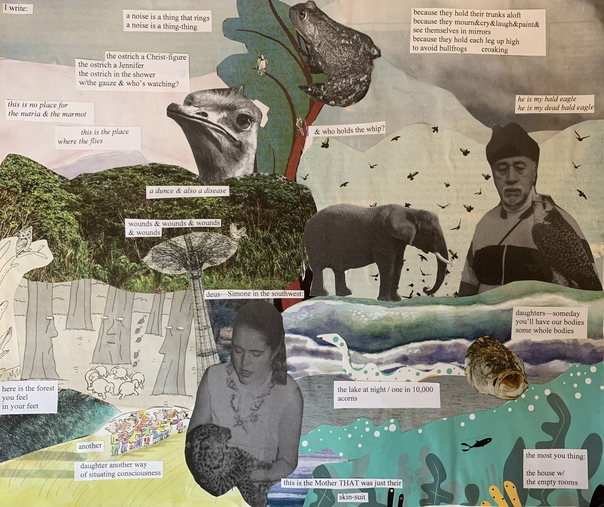 My visual poem "The Zoo," featuring my grandparents, is the cover image for <a href="/TimberJournal/">TIMBER</a>’s issue. 

Please check it out, as well as some stunners by Isaiah Yonah Back-Gaal and Kurt David, Katherine Indermaur, Elise Thi Tran, and more.

timberjournal.org