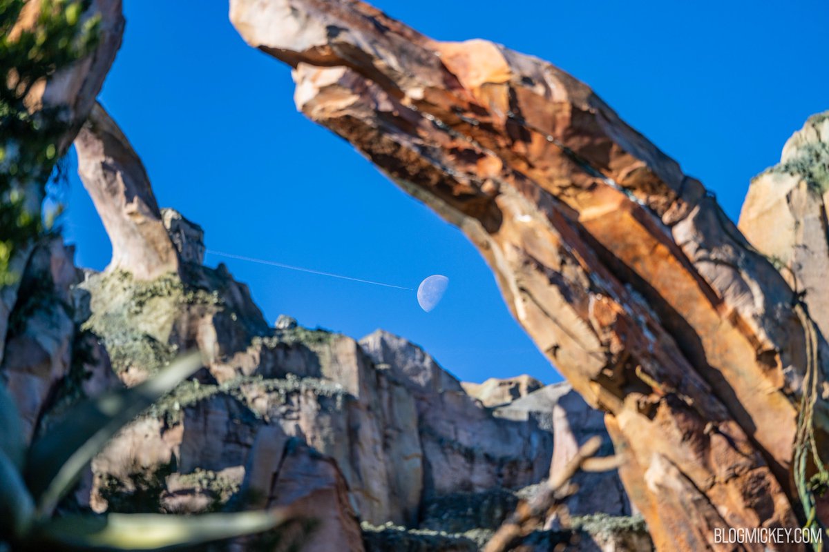 Blog_Mickey's tweet photo. A plane passes in front of the moon as seen from Pandora - The World of Avatar this morning https://t.co/7fCwZUZMxK