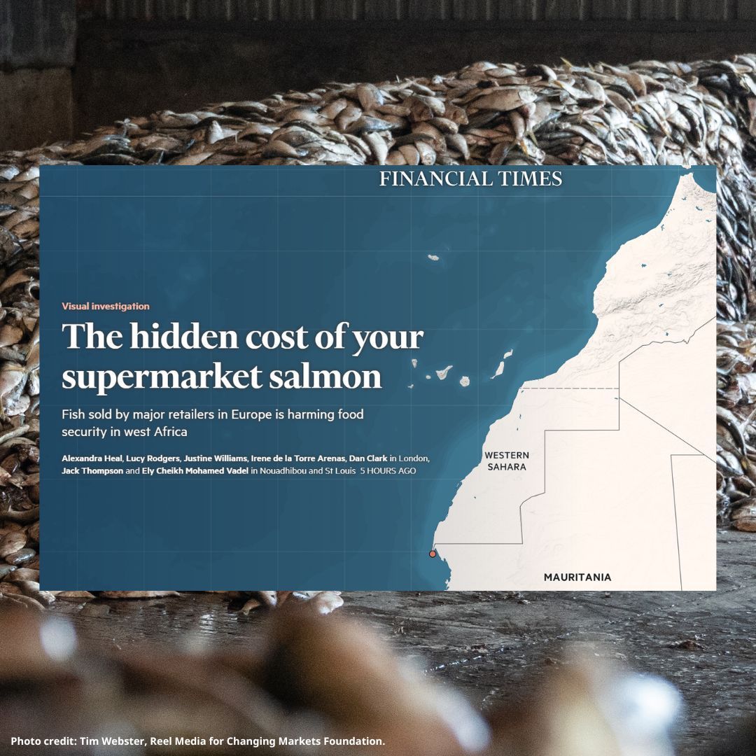 🚨 EXPOSED: the expansion of Norway’s salmon farming industry - which drives the extraction of nearly 2 million tonnes of whole fish from the wild each year - comes at the expense of communities in the Global South.

Our new report featured in the <a href="/FT/">Financial Times</a>: buff.ly/3OoWy18