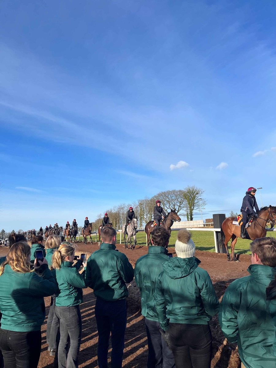 IrishNatStud's tweet image. Student Blog from Luke Bleahan 🇮🇪 and Lola Queck 🇩🇪
#INSStudents
#INSBreedingCourse

irishnationalstud.ie/student-blog-f…