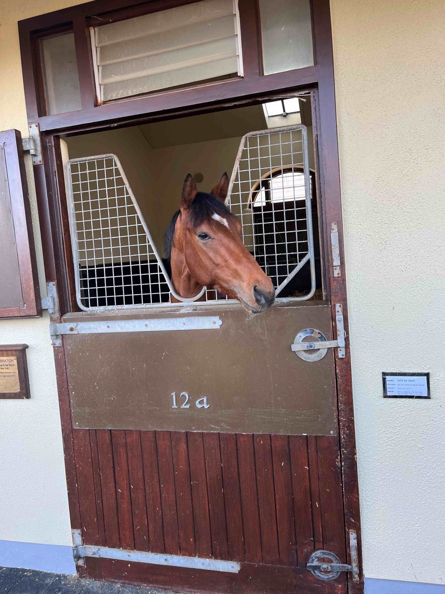 IrishNatStud's tweet image. Student Blog from Luke Bleahan 🇮🇪 and Lola Queck 🇩🇪
#INSStudents
#INSBreedingCourse

irishnationalstud.ie/student-blog-f…