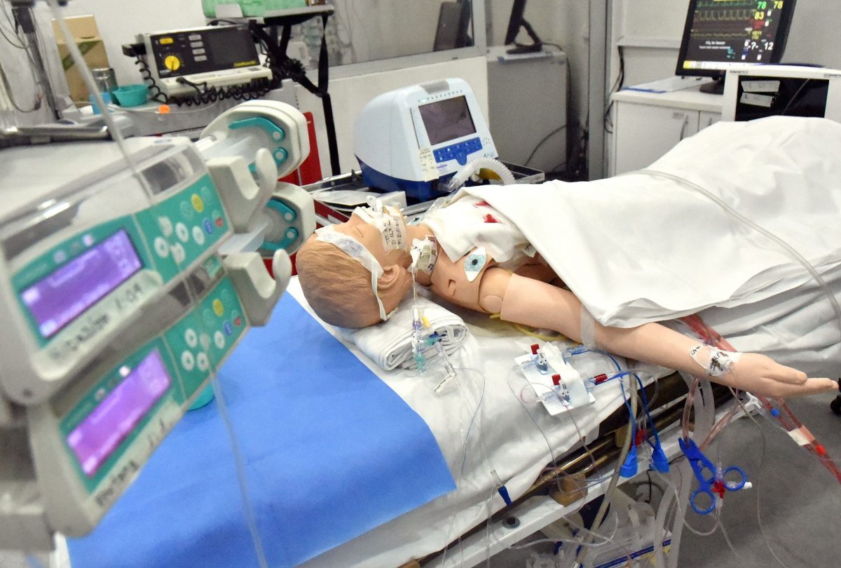 INSCRIPCIONES ABIERTAS 
Programa de Desarrollo Pedagógico Docente

👩‍⚕️"Docencia en Simulación Clínica en el Área Salud"  

Período de inscripción:
Hasta el 15/02/24

Semipresencial: 2 instancias por zoom y 5 encuentros en laboratorio de simulación.

+info: cse.udelar.edu.uy/blog/2024/02/0…