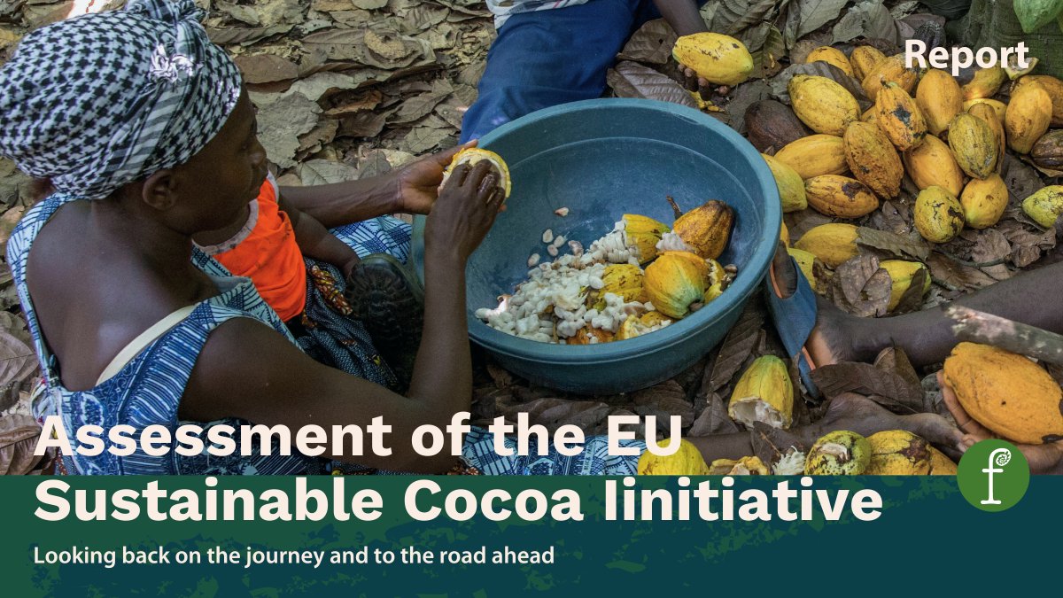 The #SustainableCocoaInitiative has positively impacted the #cocoa sector, enabling unprecedented dialogue between producer countries &amp; the #EU.  
 
But challenges remain.  
 
Read about the achievements, concerns and further steps in our new report 👇 
fern.org/publications-i…