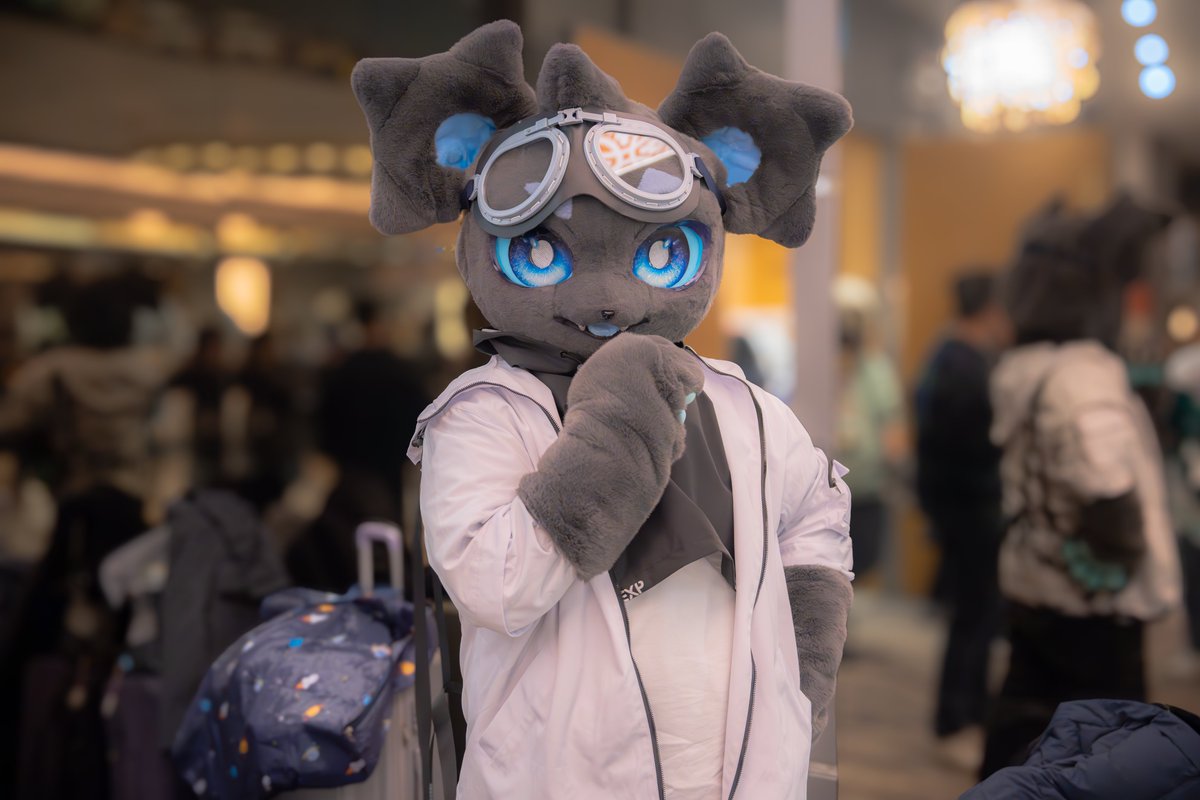 🐻⭐️

📸 : @ zenTesu_1
#FursuitFriday
