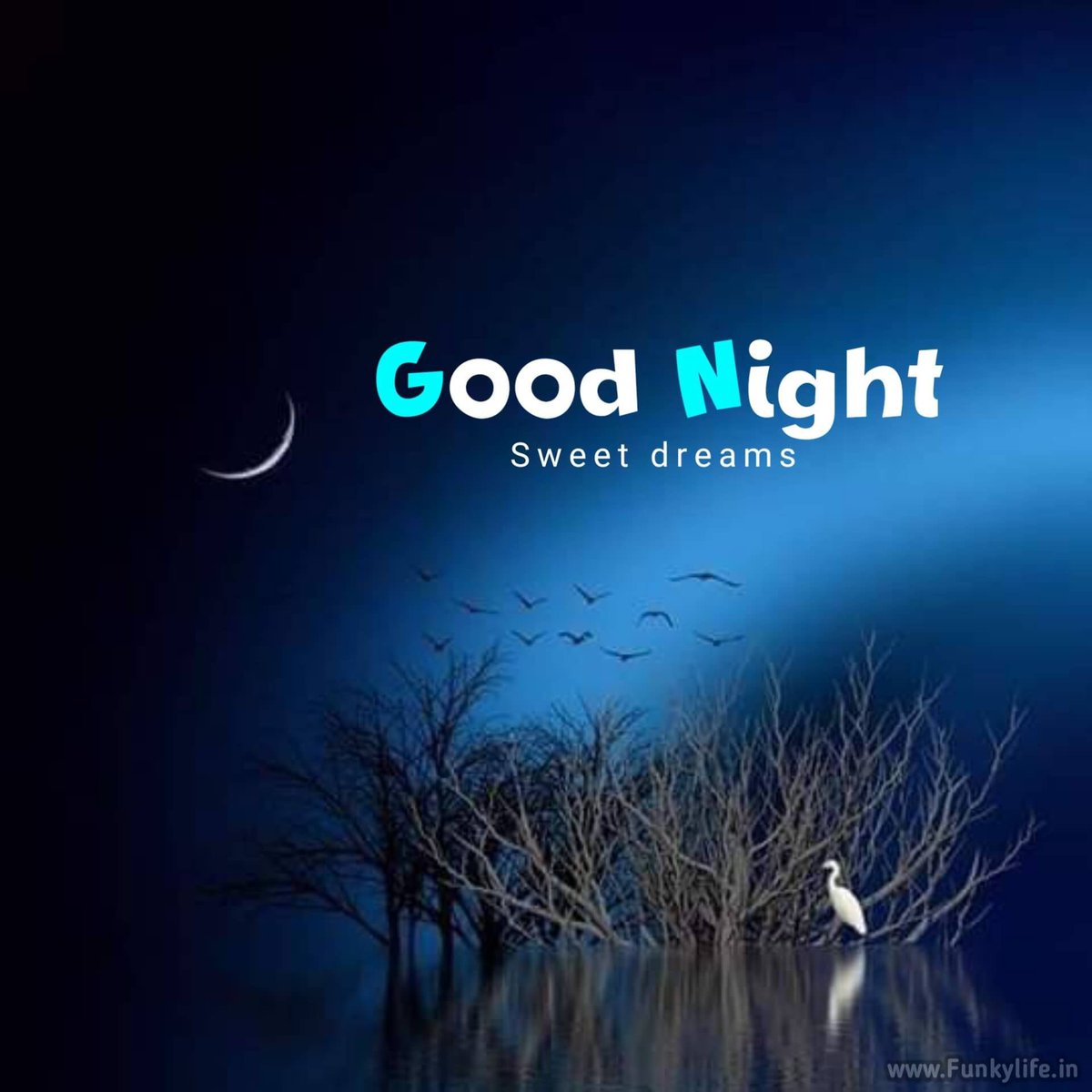 “Har shakhs jal raha hai hasad ki aag me, Us aag ko bhuja de wo pani talash kar”
~Allama Iqbal 🗣️ 

Assalam o Alaikum ❤️
Good Night Everyone 💤 😴