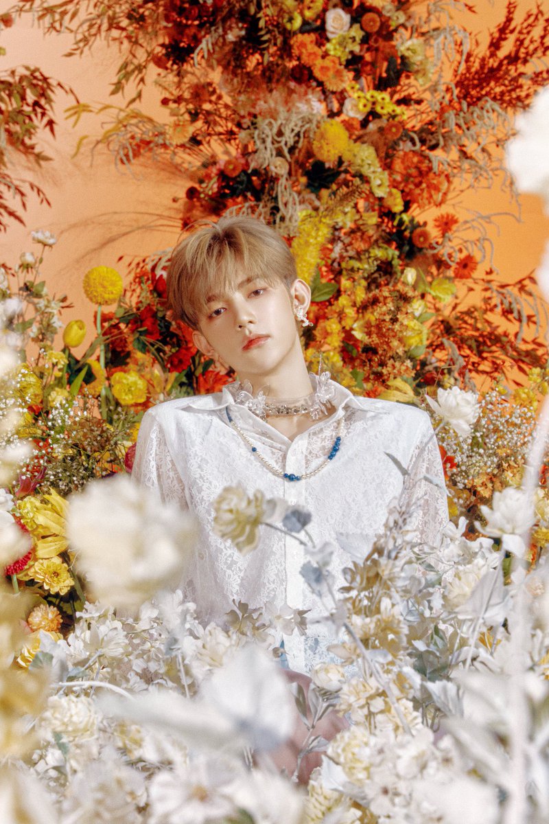 someone_butme's tweet photo. え、オレンジしんど🥺🧡控えめに言って綺麗すぎなんだが🥺🧡ジャンハオたまはこの髪色のままいく感じかな🥺🧡そしてやっぱギュビンチェの短髪好きすぎる🥺🧡でもJPの通知こなくて1日遅れでこれに気づいたのが1番しんどいむり🥺🥺🥺
#ZHANGHAO #장하오
#KIMGYUVIN #김규빈 https://t.co/ICaEGSBweW