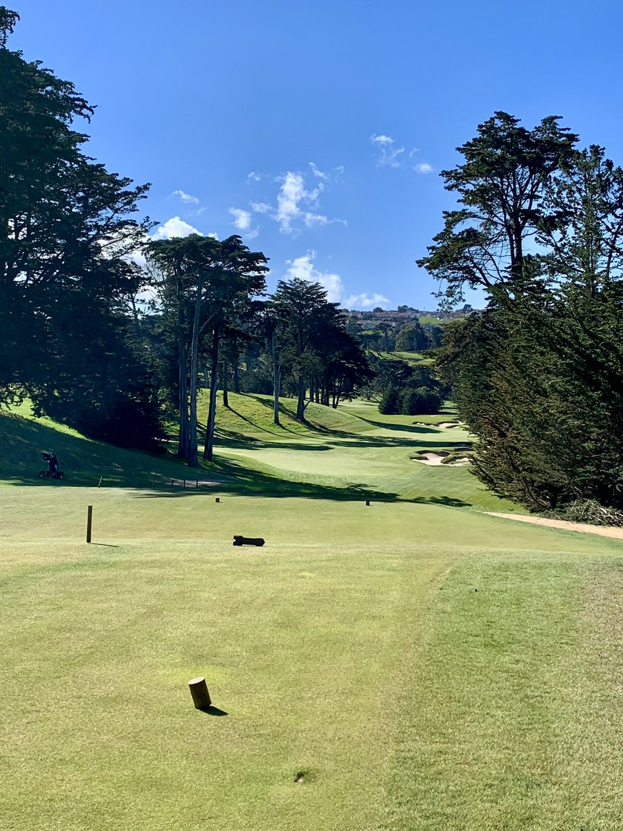 Elevation_Golfing_Nation tweet media