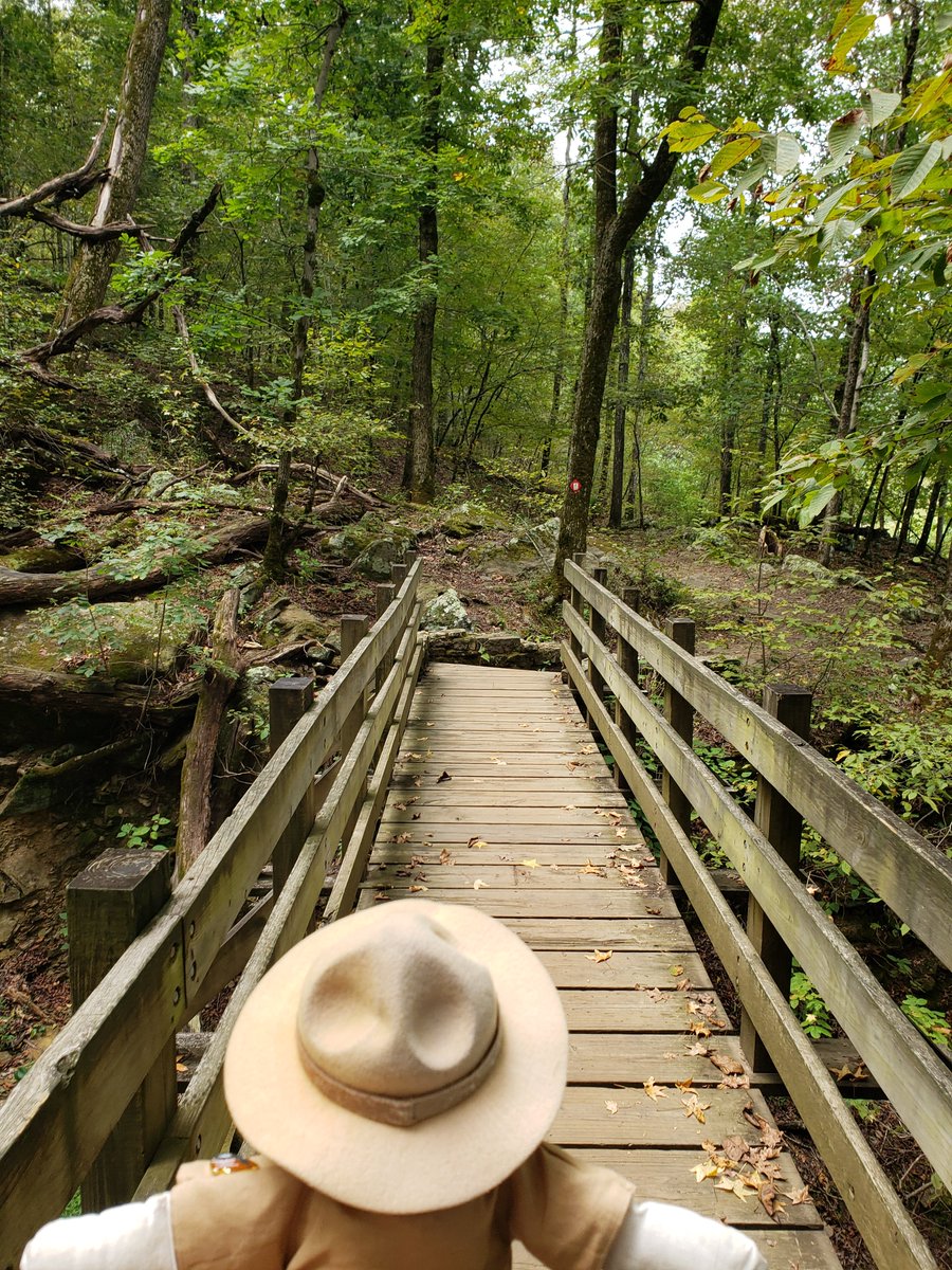RangerSarahAdv's tweet photo. Ranger Sarah crosses over the bridge on the Devil's Den Trail. While the creek is dry this bridge makes it the hike a lot easier.
— at Devil's Den State Park, Arkansas

#adventuresofrangersarah #arkansashiking #arkansasstateparks #rangersarah #hike #hikingadventures #Arkansas https://t.co/u6KbwVrzSP