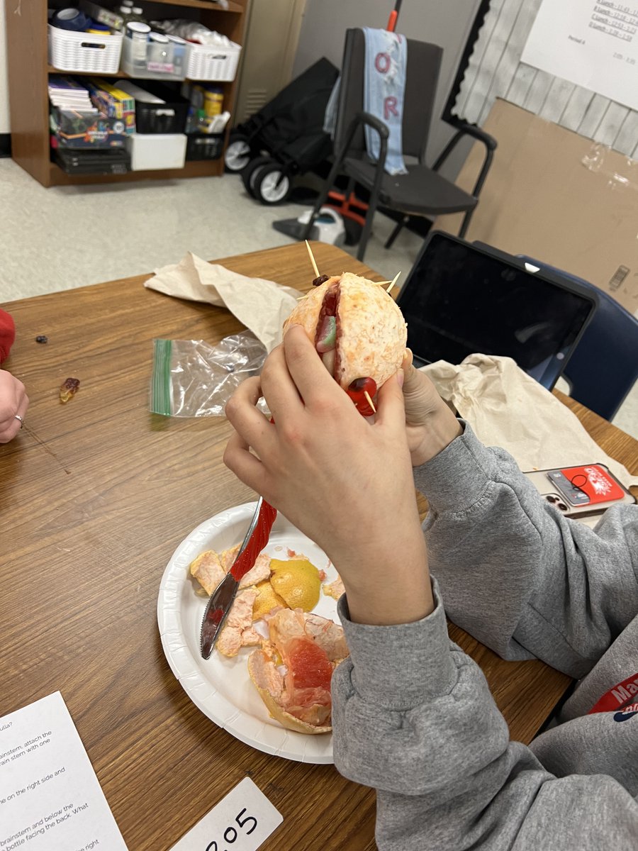 My classes used their understanding of the parts of the brain and their functions by creating a grapefruit and candy brain model in Counseling and Mental Health. We finished the lesson by answering questions about the functions of different parts of the brain.
