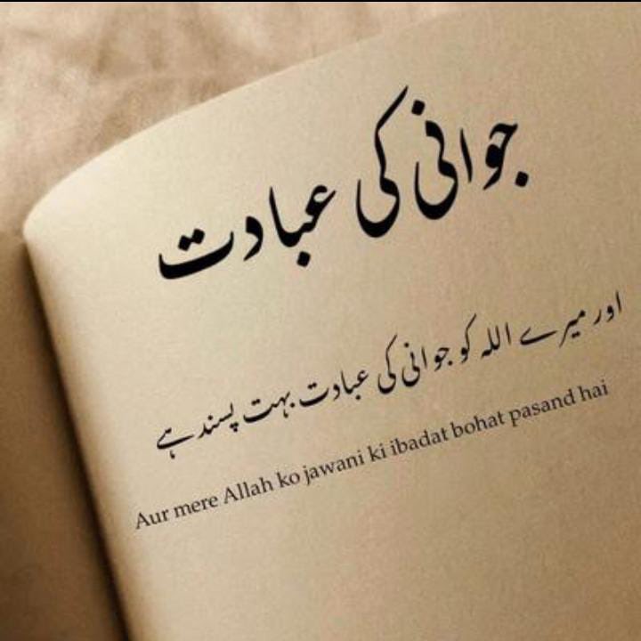 *ایمان جب اِنسان کے اندر اپنی جڑیں مضبوط کر لیتا ہے

 تو گُناہ مُشکل اور نیکی آسان ہو جاتی ہے، 

دِل نرم اور آنکھیں نَم رہتی ہیں...✨🤍*

🌺😇

#Cactus #KimPau #MAFS #Powerball #protest #Ukraine #عمران_خان_پر_ظلم_نامنظور