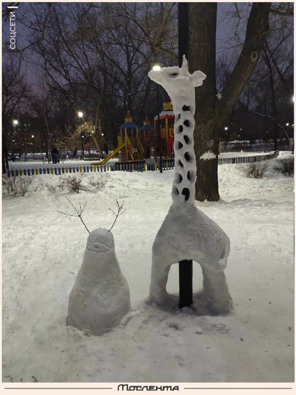 Мослента tweet media