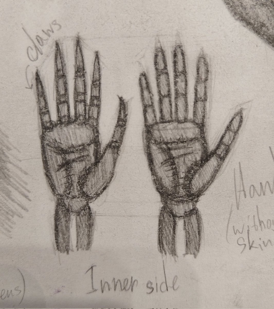 Lin_Burton_'s tweet photo. A little about anatomy of my son

Part 1/2

#art #traditionalart #oc #originalcharacter #ocdrawing https://t.co/eWe6wToTz7