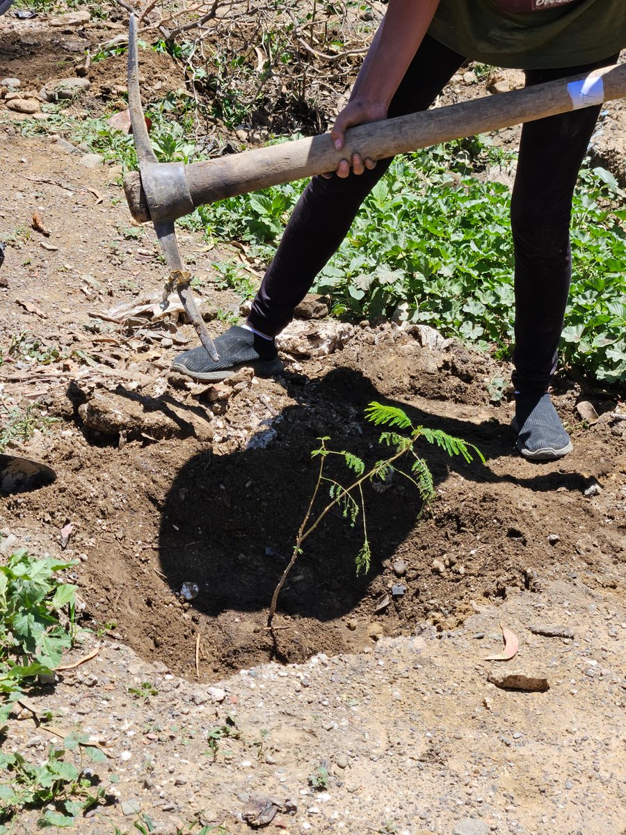 🌱Fundación Pro Habitat 🇧🇴 tweet media