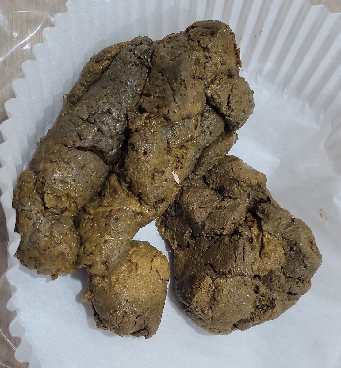 loot from the park today🤎💩🐕