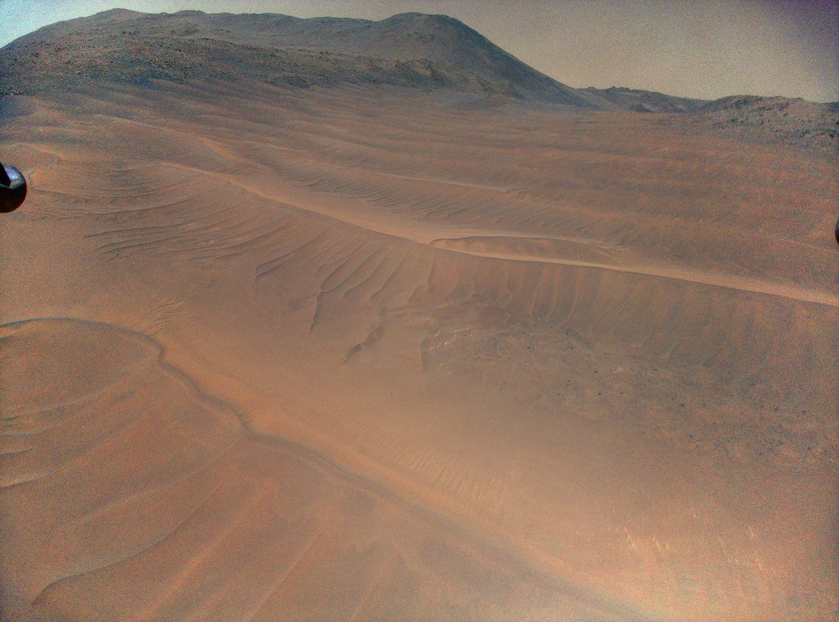 Ingenuitys View of Sand Dunes During Flight 70.

#Ingenuity #NasaPerseverance #Mars 🧵