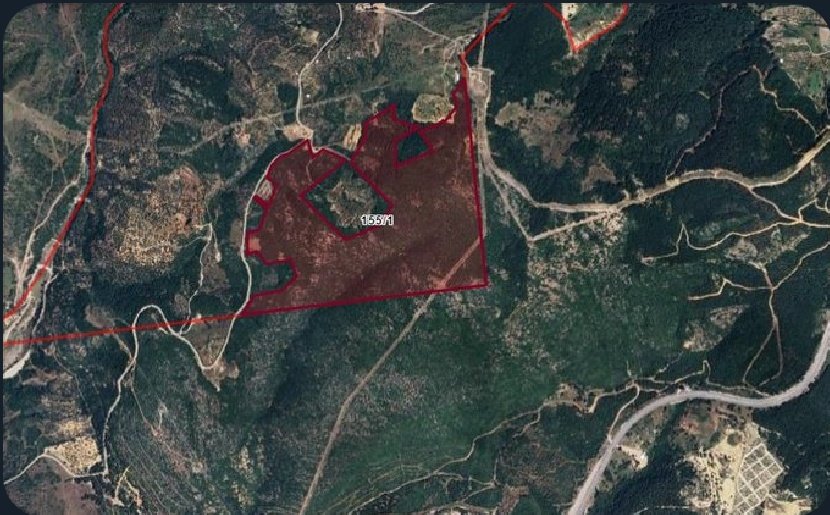 +
İzmir'de 'Yenilenebilir Enerji' adı altında bir orman katliamı daha...
GES!

#OrmanCandır .