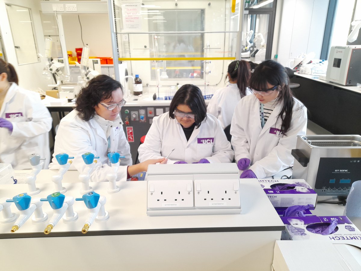 David Palomas tweet media